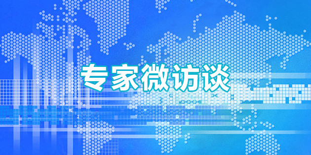 专家微访谈